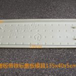 四孔圓點(diǎn)帶鐵標蓋板模具